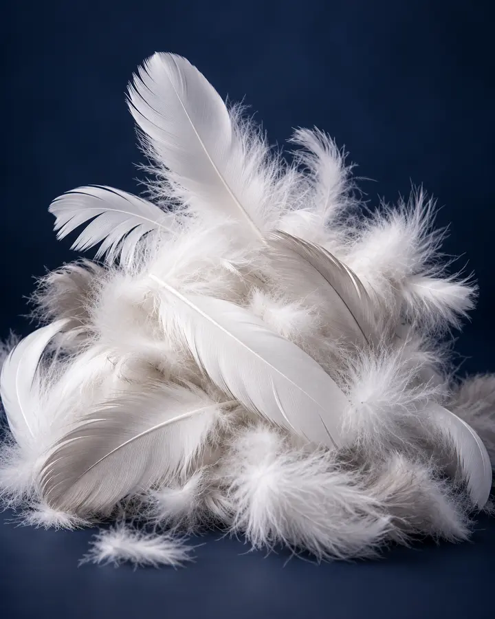 Clean white and soft gray duck feathers